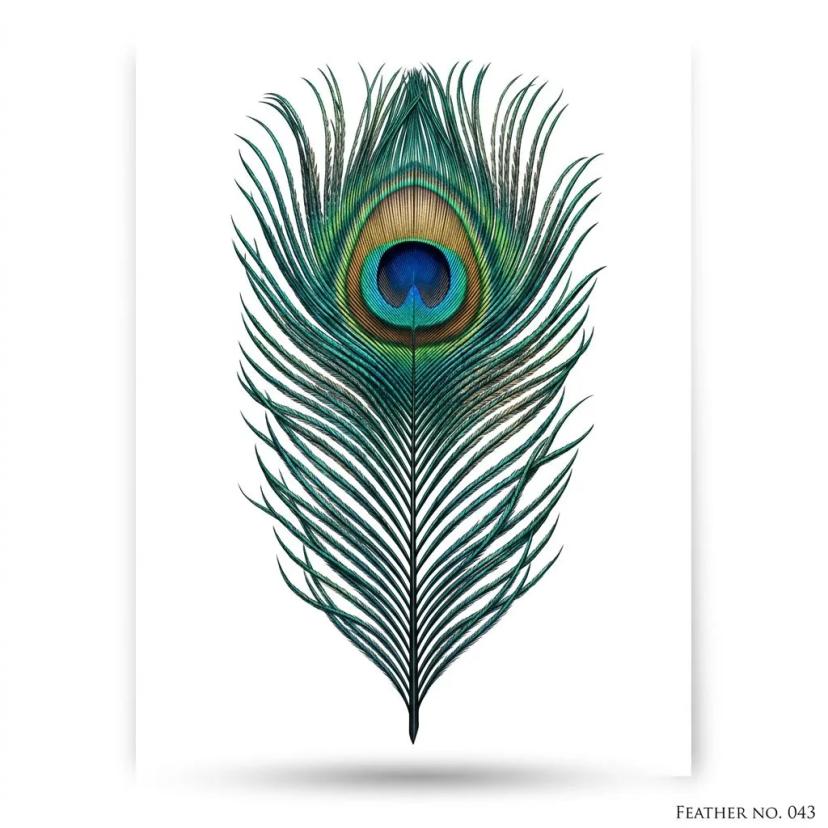 Tatouage d'une plume de paon réaliste aux reflets bleus et dorés sur fond blanc.