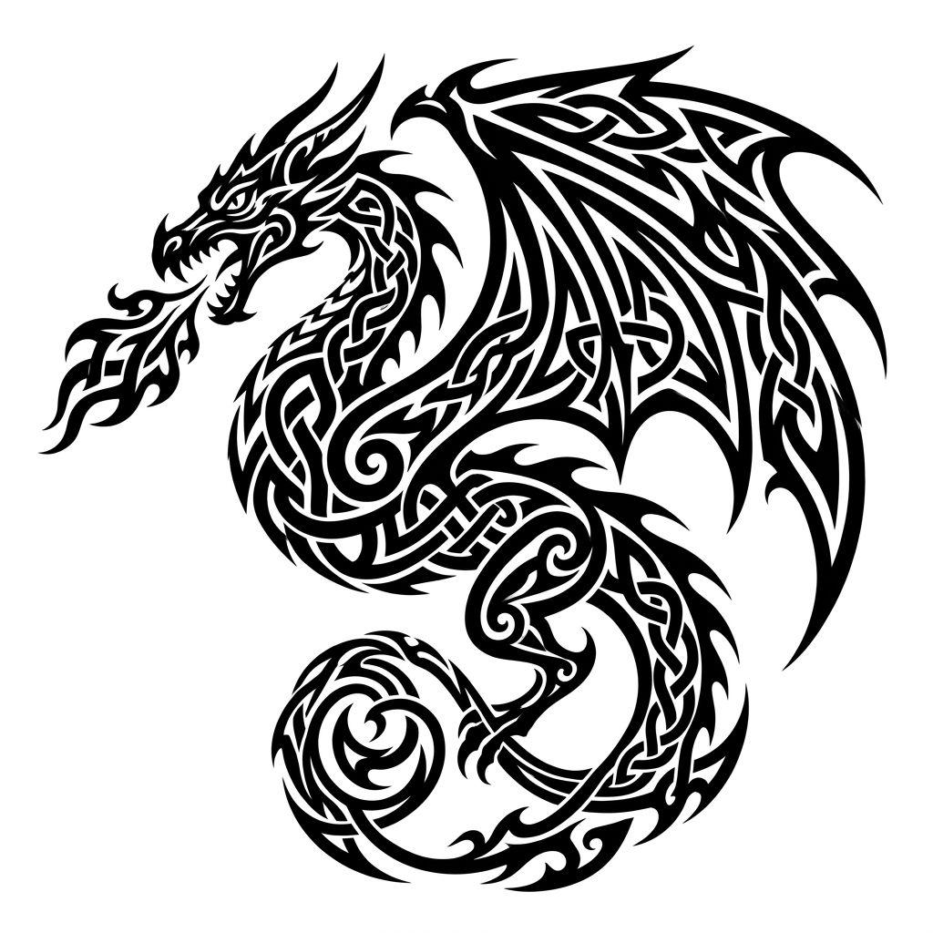 idée tatouage dragon dragon celtique tribal